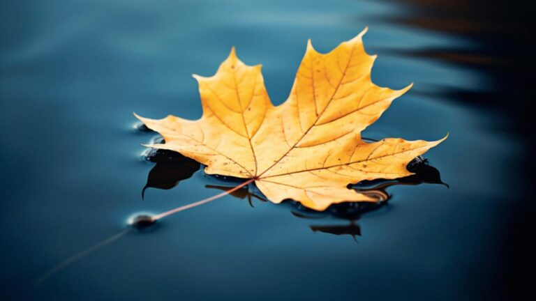 Tips To Help You Get Better At Art. 9 Tips To Help You Get Better At Art.